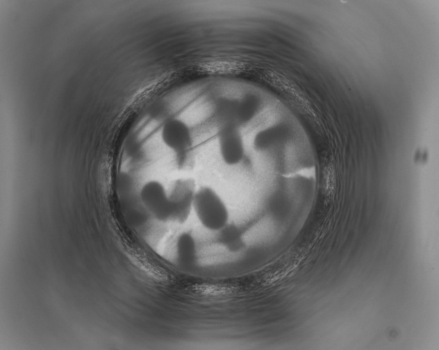 X0000095520733200801111435