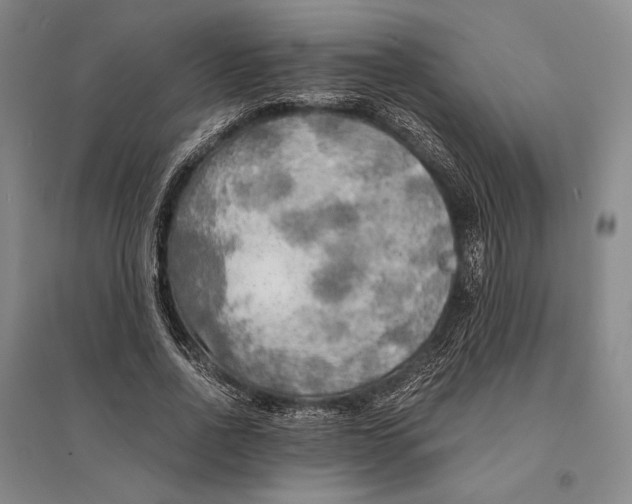 X0000095520734200801111435