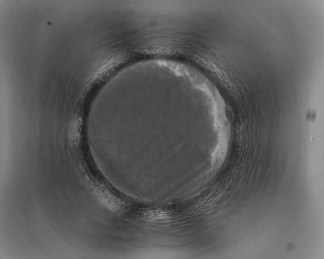 X0000095520735200801111435