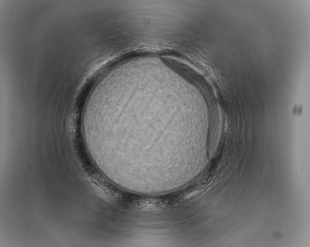 X0000095520736200801111435