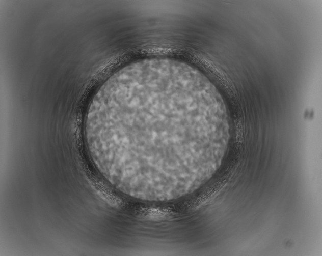 X0000095520737200801111435