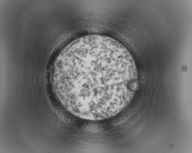 X0000095520738200801111435