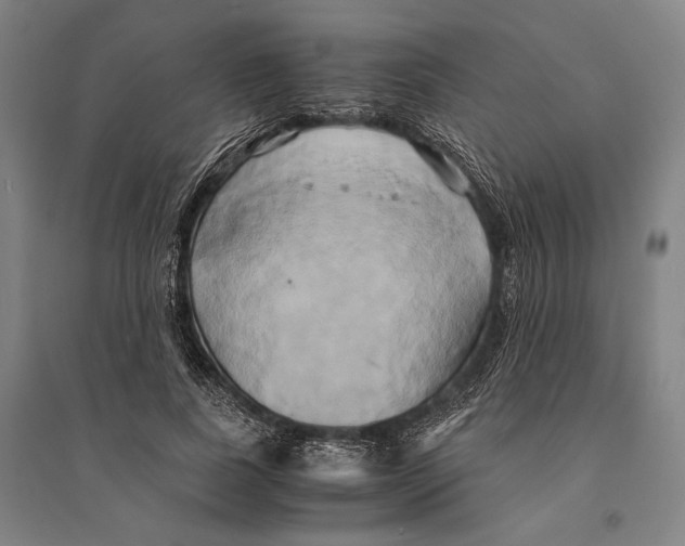 X0000095520739200801111435