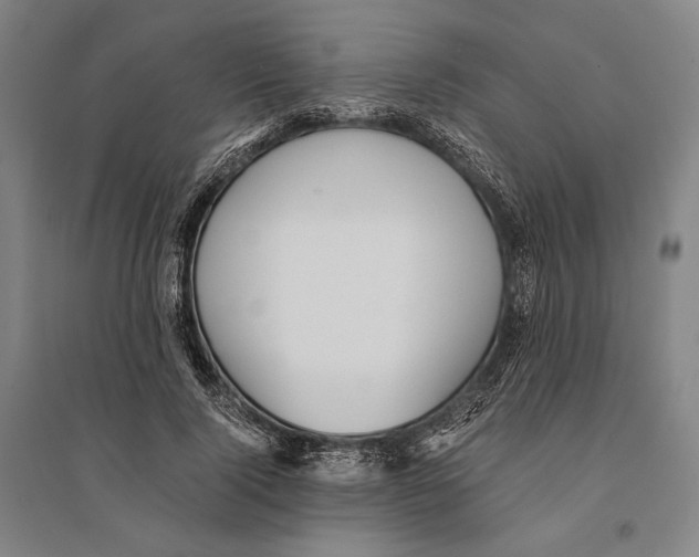 X0000095520740200801111435