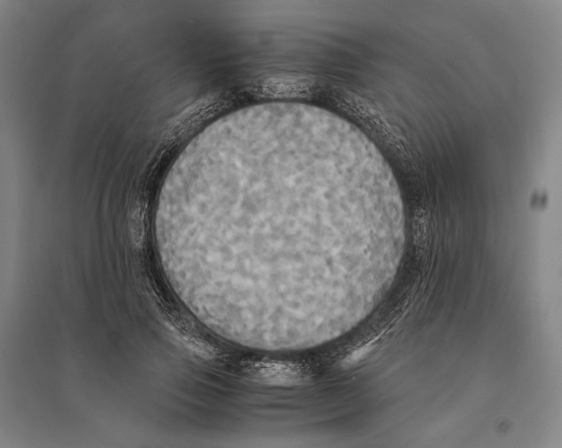 X0000095520741200801111435