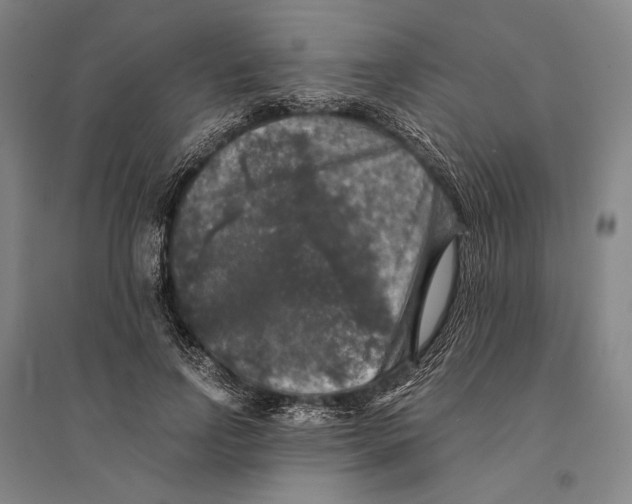 X0000095520742200801111435