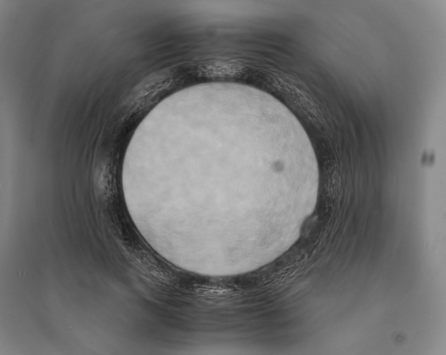 X0000095520743200801111435