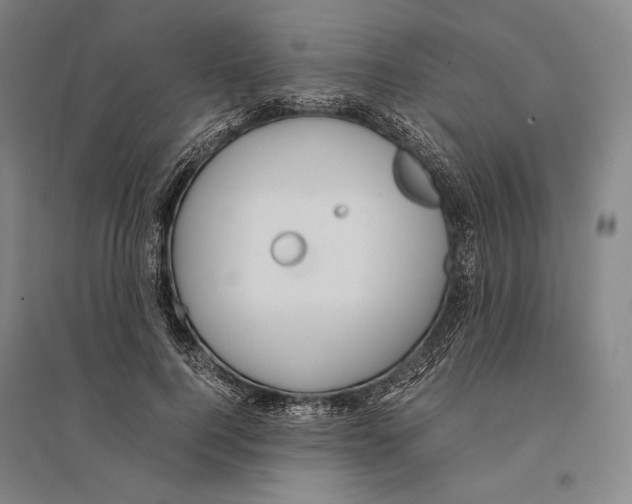 X0000095520744200801111435