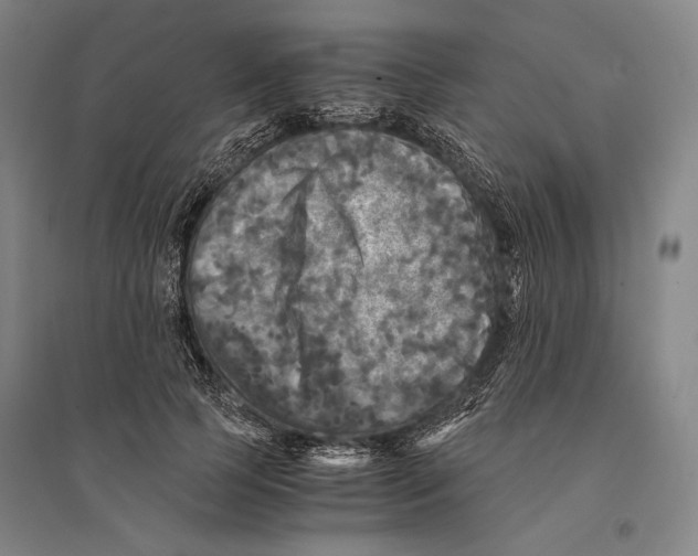 X0000095520745200801111435