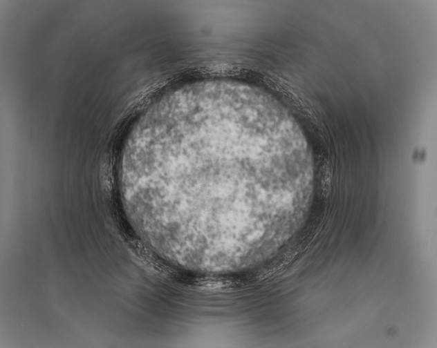 X0000095520746200801111435