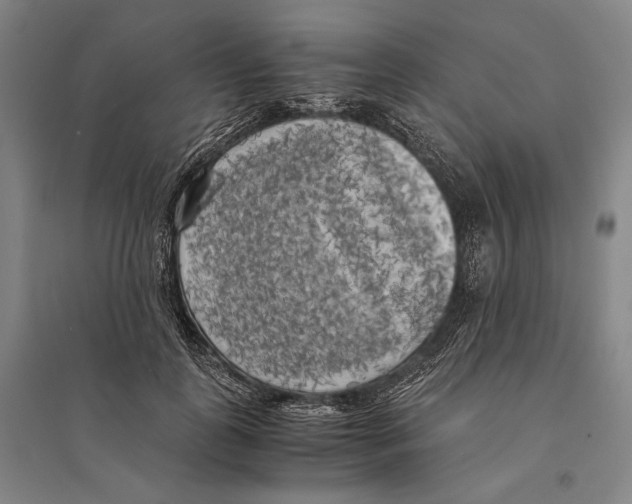 X0000095520747200801111436