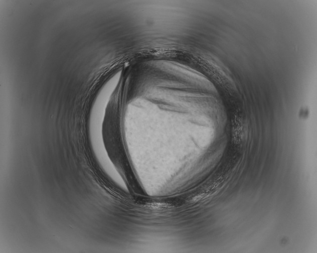 X0000095520748200801111436