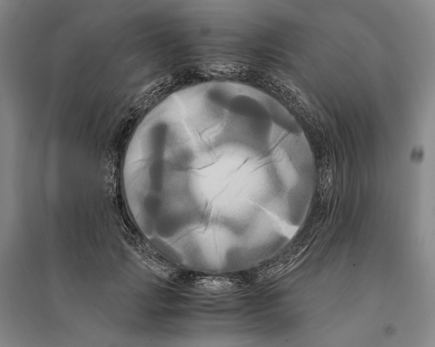 X0000095520749200801111436