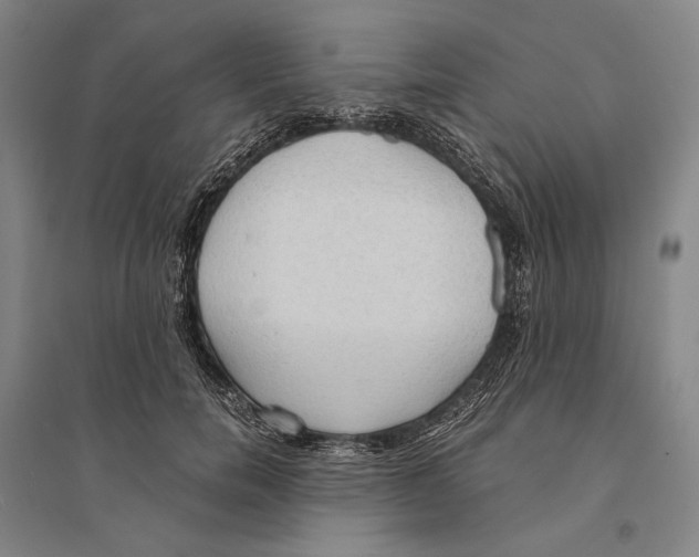 X0000095520750200801111436