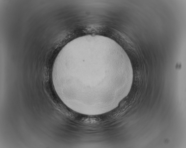 X0000095520751200801111436