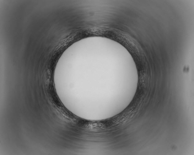 X0000095520752200801111436