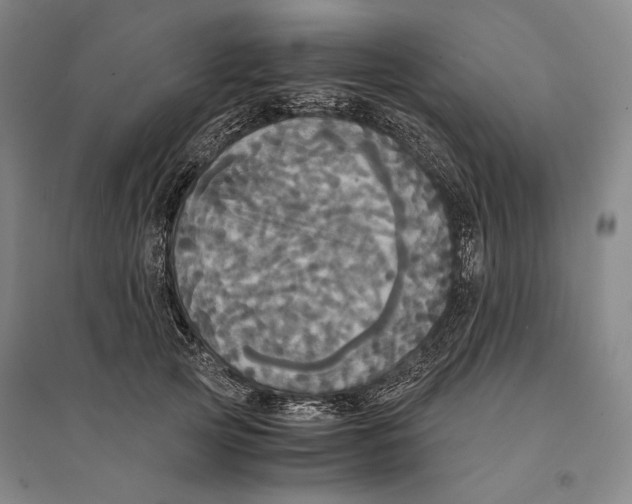 X0000095520753200801111436