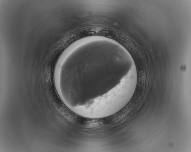 X0000095520754200801111436