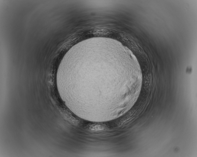 X0000095520755200801111436