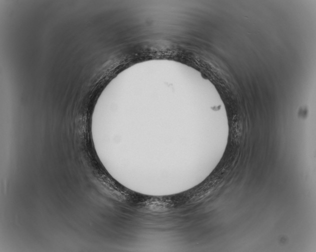 X0000095520756200801111436