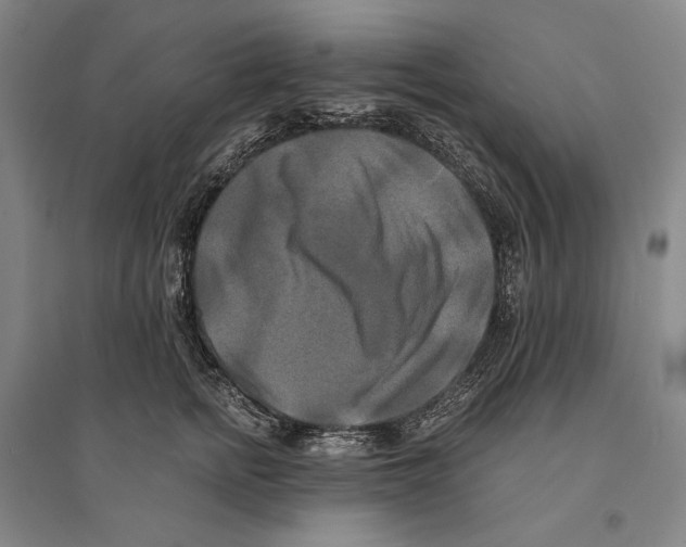 X0000095520758200801111436