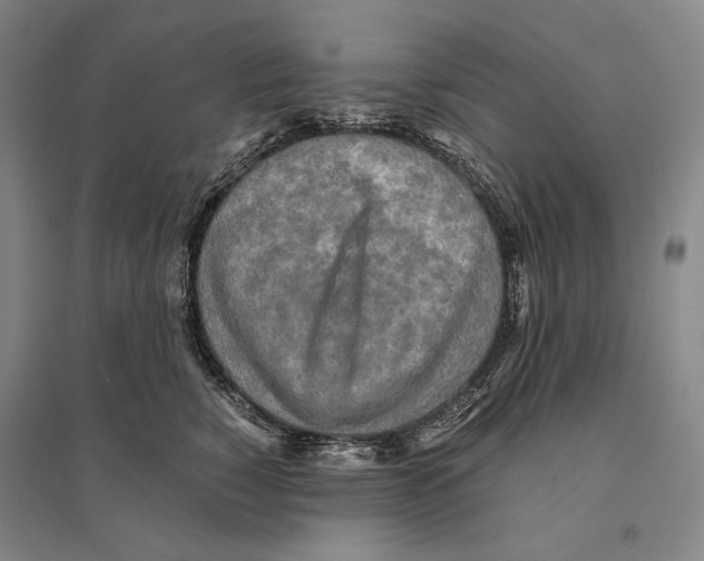 X0000095520760200801111436