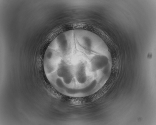 X0000095520761200801111436