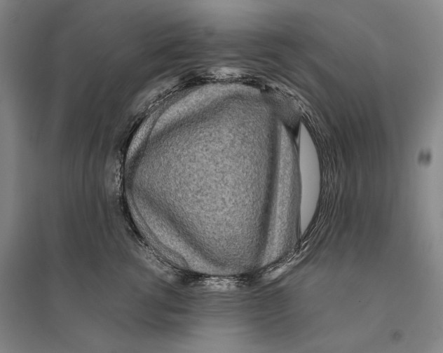 X0000095520762200801111436