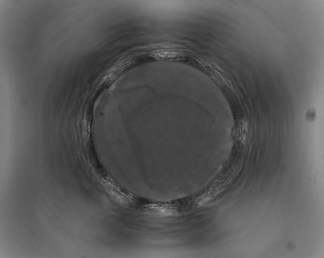 X0000095520763200801111436