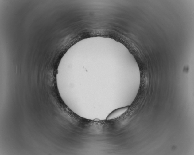 X0000095520764200801111436