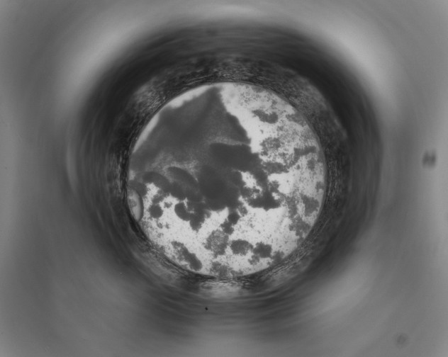 X0000095520765200801111436