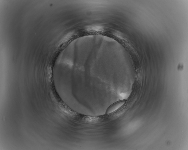 X0000095520767200801111436