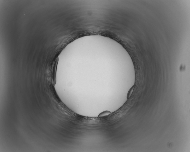 X0000095520768200801111436