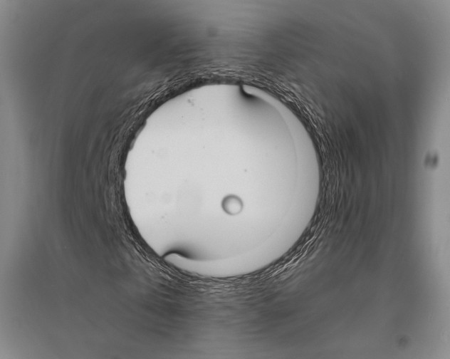 X0000095520769200801111435