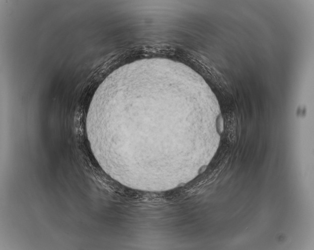 X0000095520770200801111435