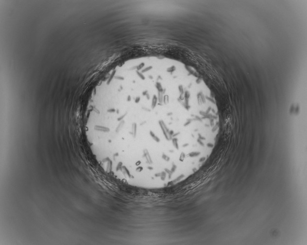 X0000095520772200801111435