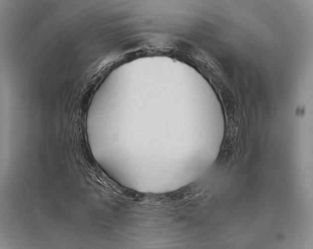 X0000095520773200801111435