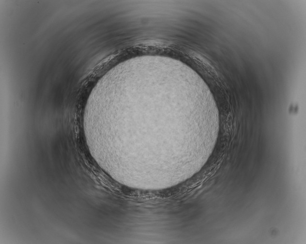 X0000095520774200801111435