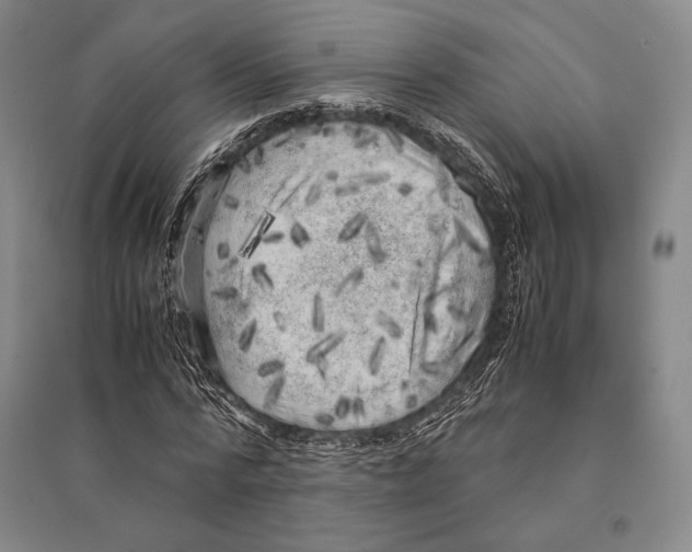 X0000095520776200801111435
