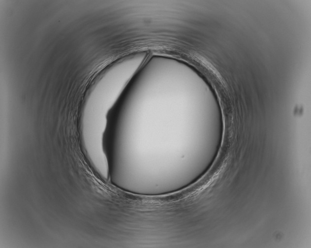 X0000095520777200801111435