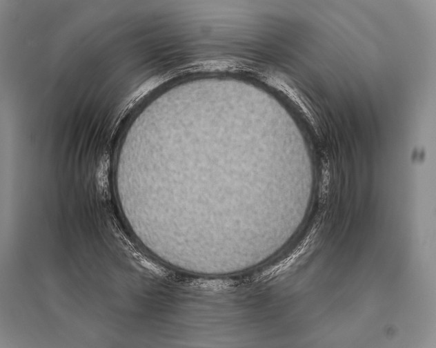 X0000095520778200801111435