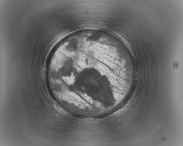 X0000095520779200801111435