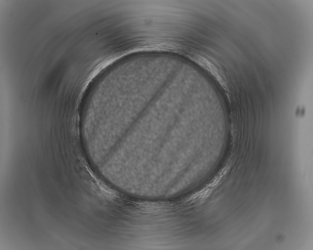 X0000095520781200801111435