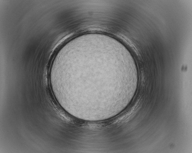 X0000095520782200801111435