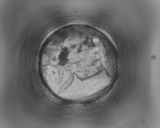 X0000095520783200801111435