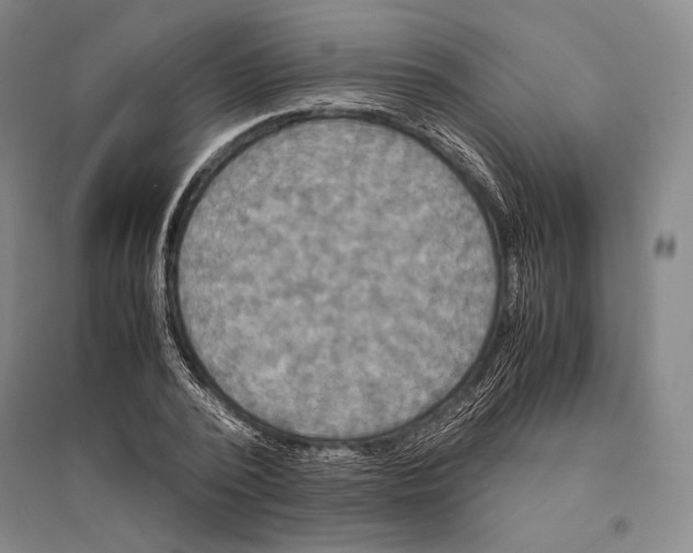 X0000095520784200801111435