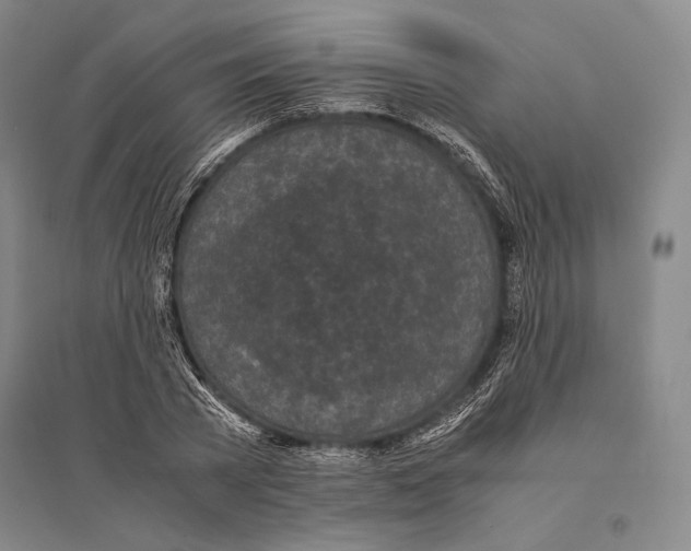 X0000095520785200801111435