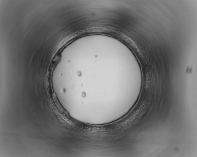 X0000095520786200801111435