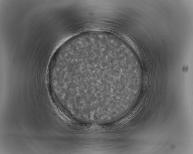 X0000095520787200801111435