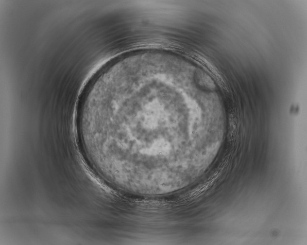 X0000095520788200801111435